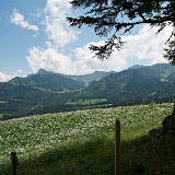 K20D_20090601_02059.jpg
