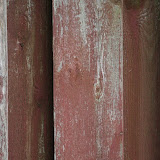Backyard 001.JPG
