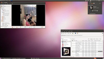 Ubuntu 10.10 Ambiance theme screenshot