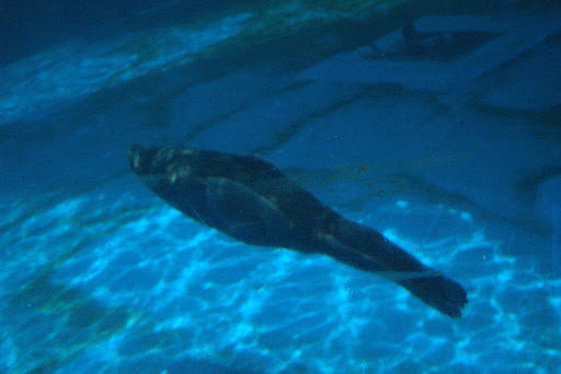 TeTaTeT почта и новая соцсеть в Латвии