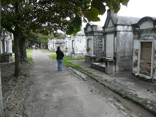 P1060765.jpg