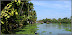back water 上有很多house boat.jpg