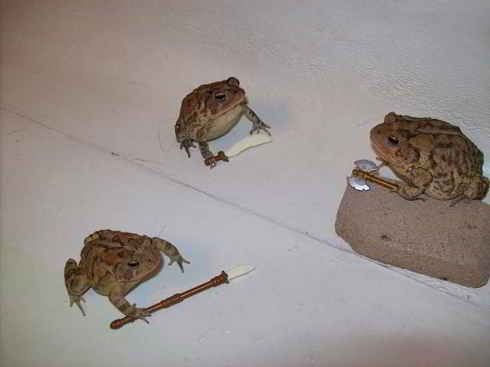 [ImagensdaSemana61196.jpg]
