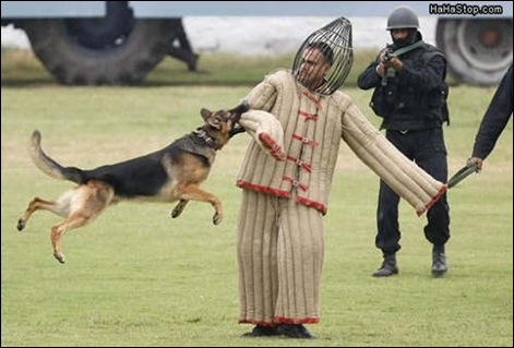 Imagens da Semana 61 (10)