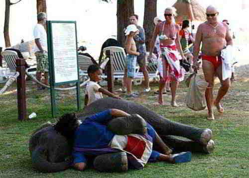 [ImagensdaSemana61516.jpg]