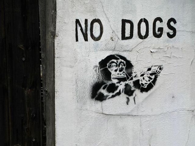 [Imagens da Semana 41 (35)[6].jpg]