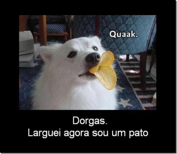 quak