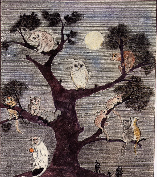 Bichos en un &aacute;rbol