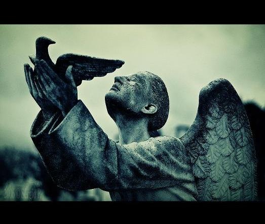 [angels[3].jpg]