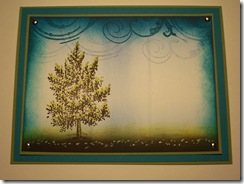zindorf class flourish zindorf class flourish