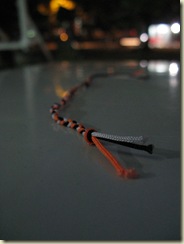 IMG_0260