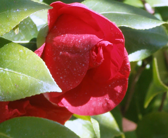 P3290007.JPG
