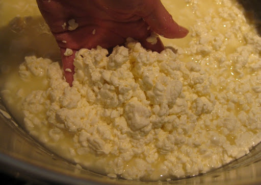 Queso Fresco