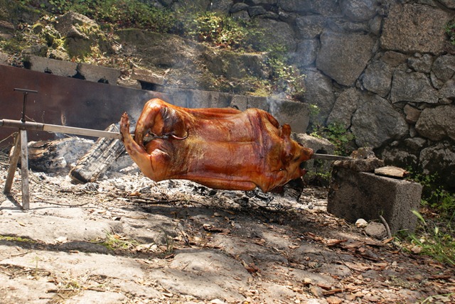 [PIC - 006-DSC06892[3].jpg]
