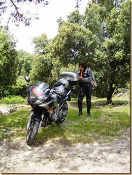 PIC -  006-P5300053