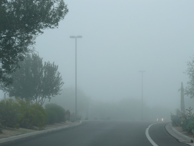 Fog in Las Sendas - Mesa, AZ