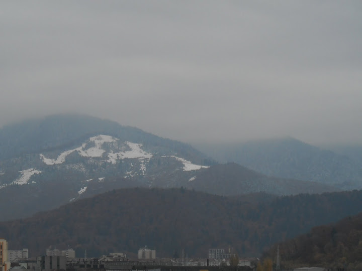 http://lh6.ggpht.com/_1fk34j8W6WU/Su2Fm_l11uI/AAAAAAAAAKA/O5rnrkyraMc/s720/DSCN1362.JPG