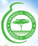 http://lh6.ggpht.com/_1fk34j8W6WU/THPalDhKN6I/AAAAAAAABuo/3zVaWDFQ5Zo/logo_umbrela_verde.jpg
