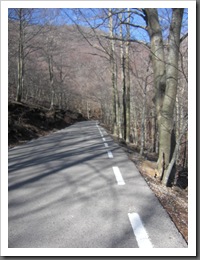 Montseny 024