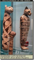bastet_cats bastet_cats