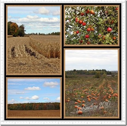 Fall drive 2 Fall drive 2