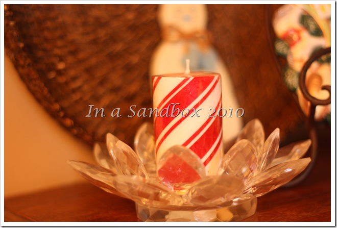 IMG_5448 IMG_5448