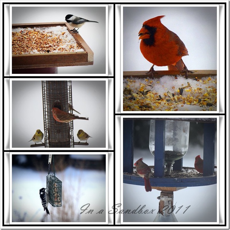 Birds mosaic