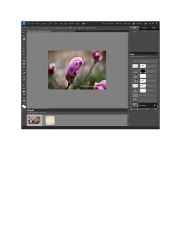 [magnolia edit[4].jpg]