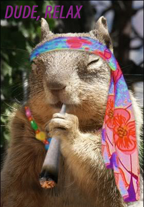 stoned squirrel