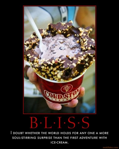 [bliss-icecream-cubby-demotivational-poster-1284864924[6].jpg]