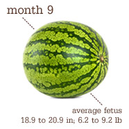 [image[4].png]