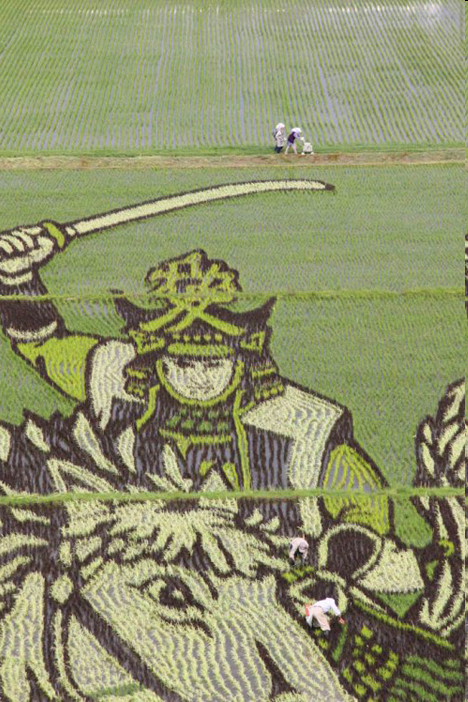 [japan_rice_art[4].png]