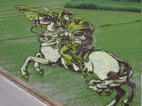 [napoleon_rice_crop_art[3].png]