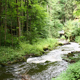 IMG_4875.jpg