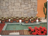 Expoflora 2009 014
