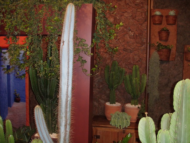 [Expoflora20090403.jpg]