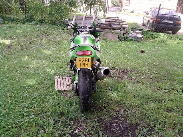 Pilt