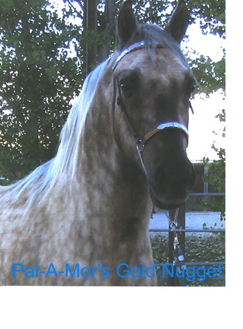 [Pally[2].jpg]