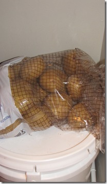 IMG_3969 IMG_3969