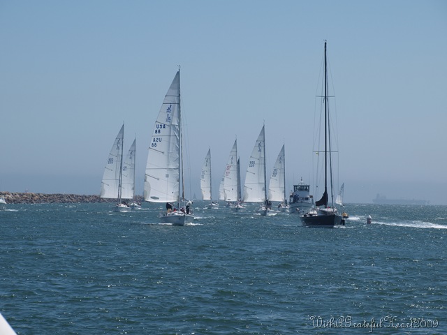 [P6281105[8].jpg]
