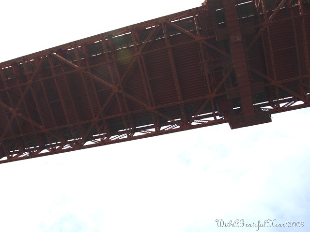 [P8052280[11].jpg]