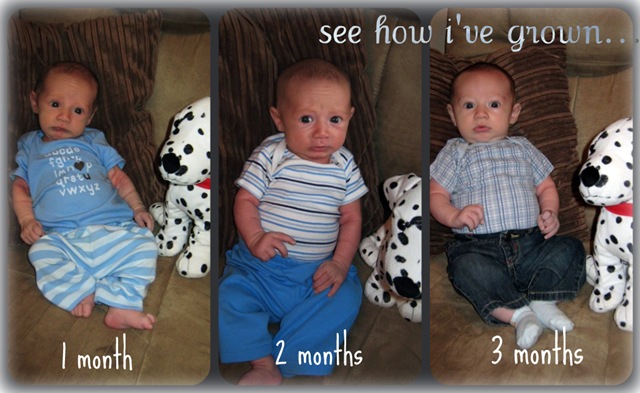 [Picnik collage[7].jpg]