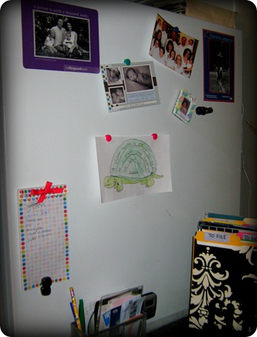 fridge side