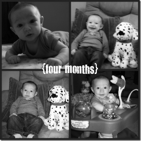 four months collage