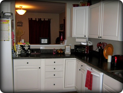 kitchen2011 3