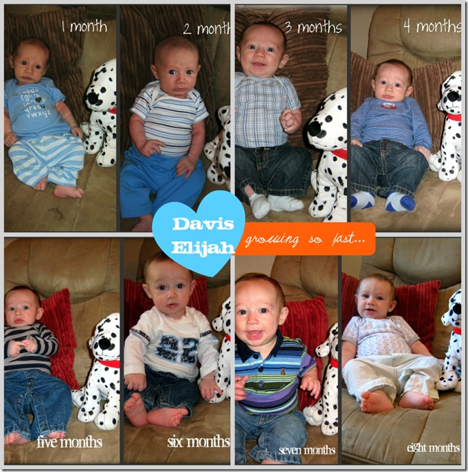 1to8 month collage