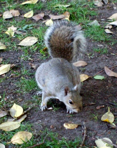 http://lh6.ggpht.com/_1rHIiIZxzVM/TB6Zg9WctQI/AAAAAAAAAFI/UoaLpl89xjU/s512/DSCF0717.JPG