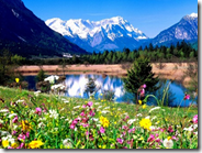 Raccolta di 15 sfondi desktop dedicati alla natura da non perdere