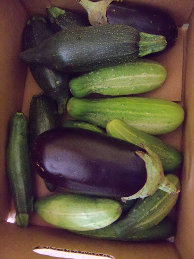 Share Box 2