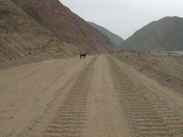[carretera 2[4].jpg]